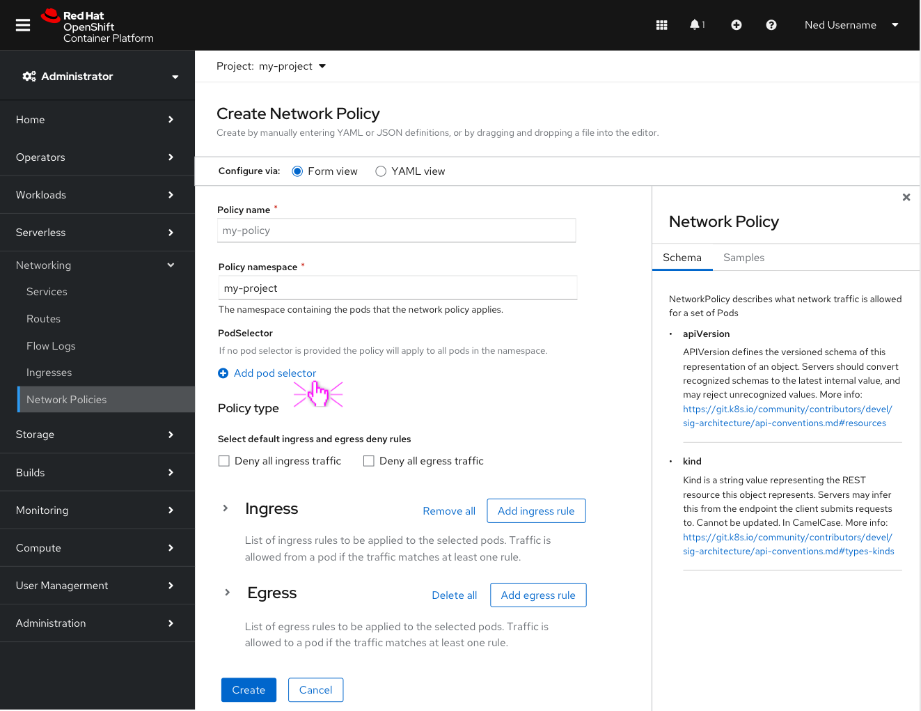 Network Policy Form OpenShift Design